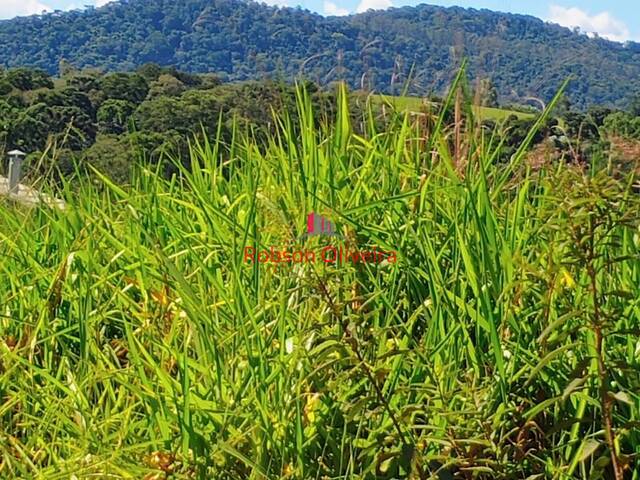 #317 - Área para Venda em Piracaia - SP - 2